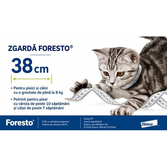 Foresto – Zgarda Antiparazitară pentru Pisici și Câini de Talie Mică (<8 kg), 38 cm